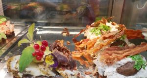 Smørrebrød Blossomzine