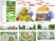 Healing Garden Against War un nuovo progetto vincitore “Healing Garden against War” di Giulia Radaelli