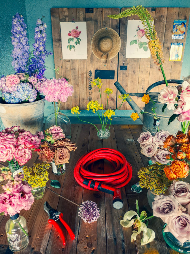 Coltivo il mio giardino, e il mio giardino mi coltiva. Robert Brault Blossom zine per YOYO by Fitt