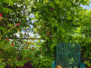 Arredare il terrazzo? idea surreale da Le Corbusier