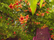 Arredare il terrazzo con colori in contrasto cromatico