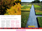 Coltiva solo eriche !! è la nursery di Perthshire Heathers in Scozia