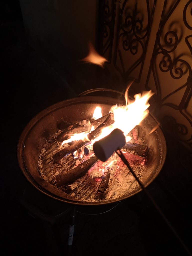 blossomzine BBQ invernale