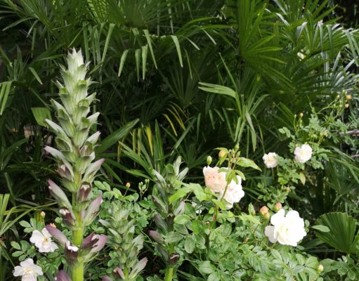 Orticolario 2023 Come fare un giardino sostenibile, incontriamoci e ve lo diremo.