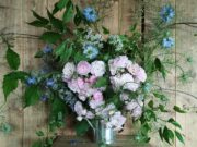 Come fare un bouquet di rose a maggio