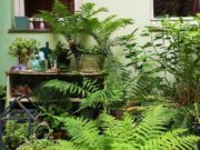 Come creare uno spazio esterno REGOLE BASI + schede freebie