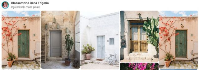 pinterest blossomzine ingressi belli con le piante
