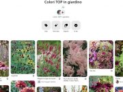 Colori TOP in giardino