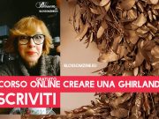 Quali conifere per creare una ghirlanda?