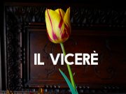 Storie curiose sui tulipani, lo sapevi del virus?