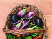 “Fuggiti” dalla città per un ritorno alla “terra” Orto21gram cosa fanno/ intervista