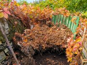 Cosa possiamo fare per risparmiare acqua nell’orto?