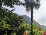 Idee per piccoli giardini