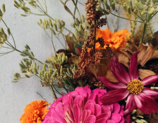 Come creare un giardino o un’aiuola per le farfalle?