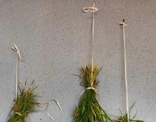 Essiccare i fiori in estate ( se non piove si può fare )