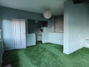 Rimozione del prato in casa