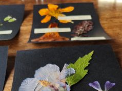 Come creare dei quadretti botanici con i fiori pressati