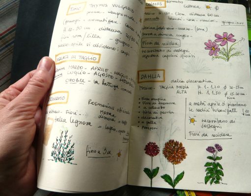 Pianificare il futuro del tuo spazio verde