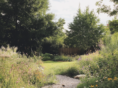 Impollinare manualmente i fiori? davvero?